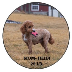 mom